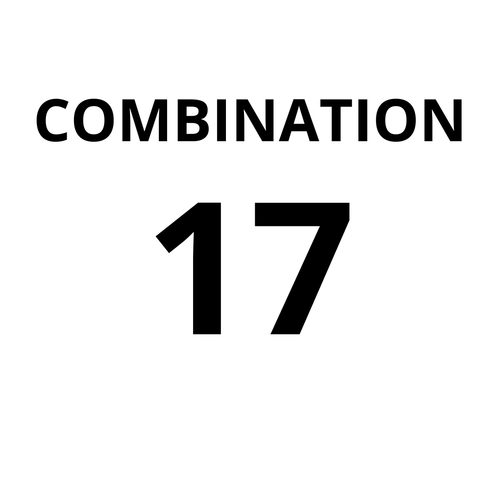 Combination 17 of 5 men's perfumes